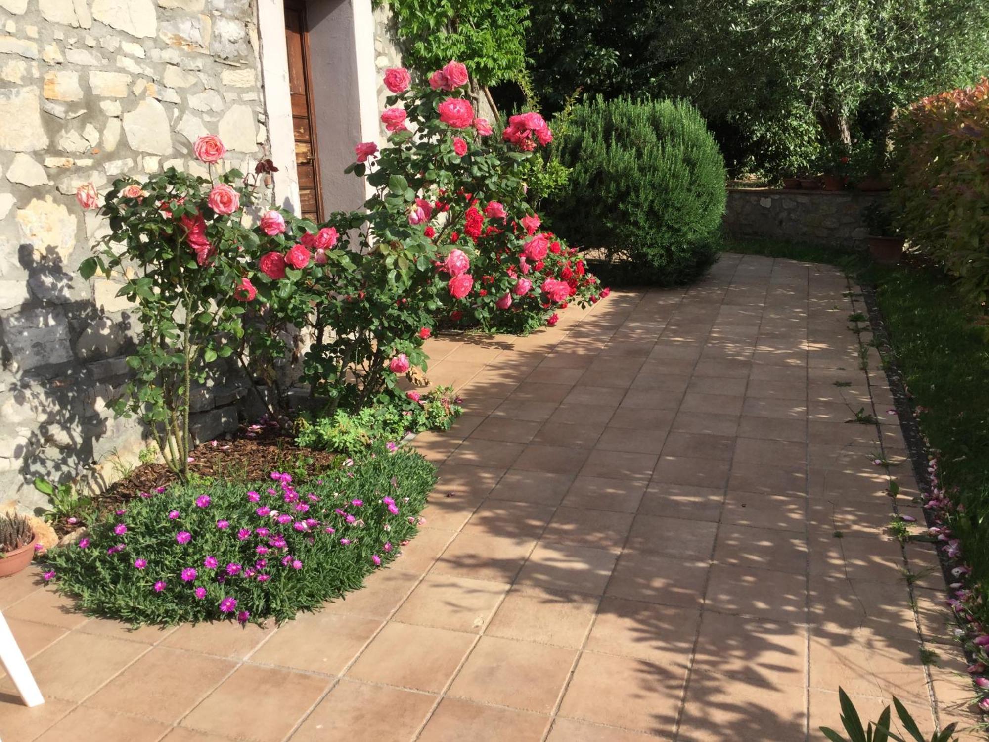 Le Macchie Vila Baschi Exterior foto